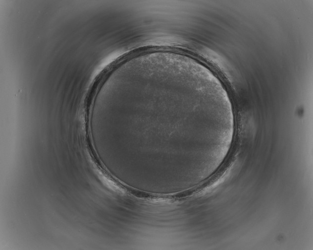 X0000094061114200711161518