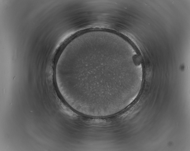 X0000094061115200711161518