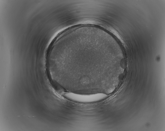 X0000094061116200711161518