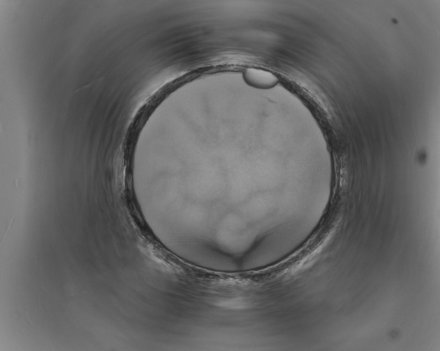 X0000094061117200711161518