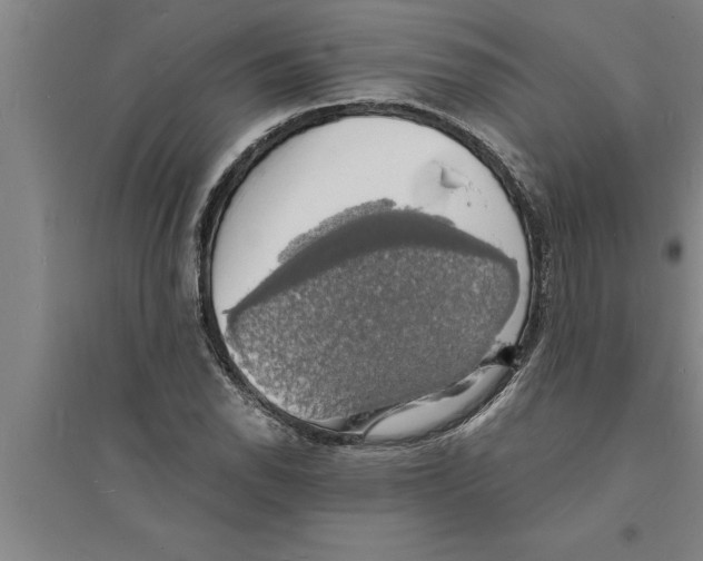 X0000094061118200711161518