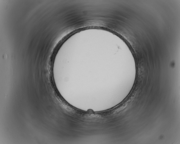 X0000094061119200711161518