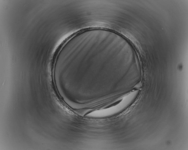 X0000094061120200711161518