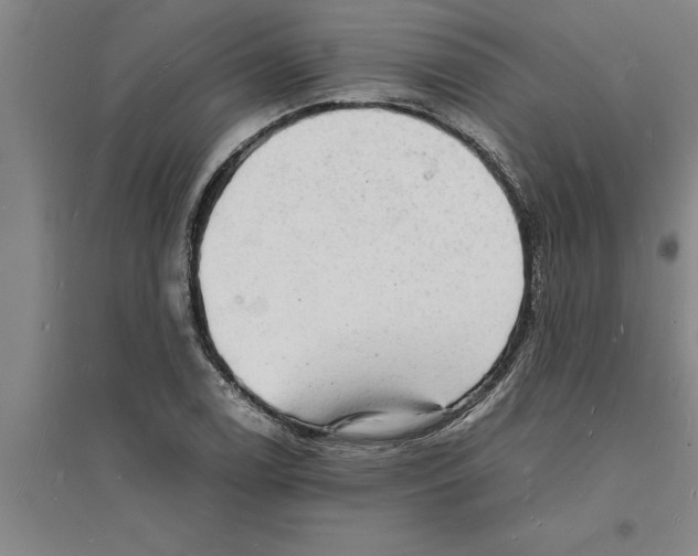 X0000094061122200711161518