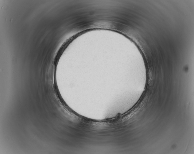 X0000094061123200711161518