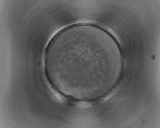 X0000094061124200711161518