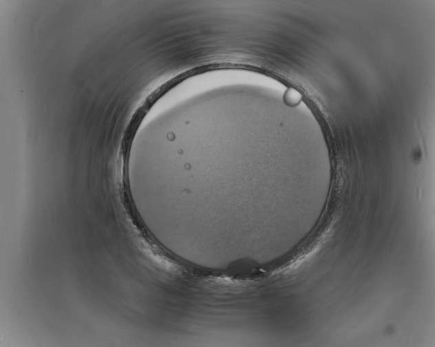 X0000094061125200711161518