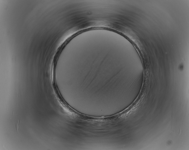 X0000094061127200711161518