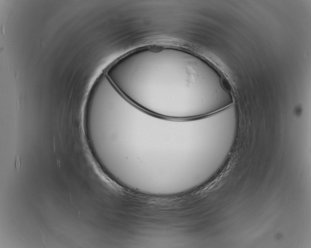 X0000094061128200711161518