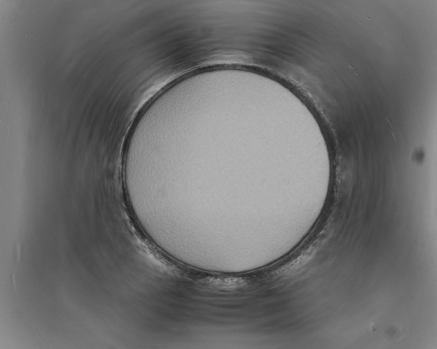 X0000094061129200711161518