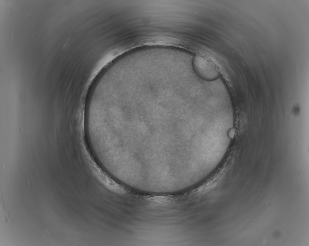 X0000094061130200711161518