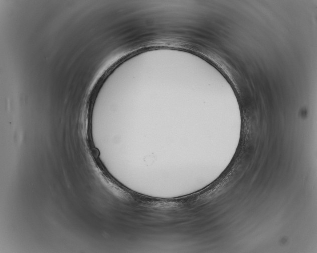 X0000094061131200711161518