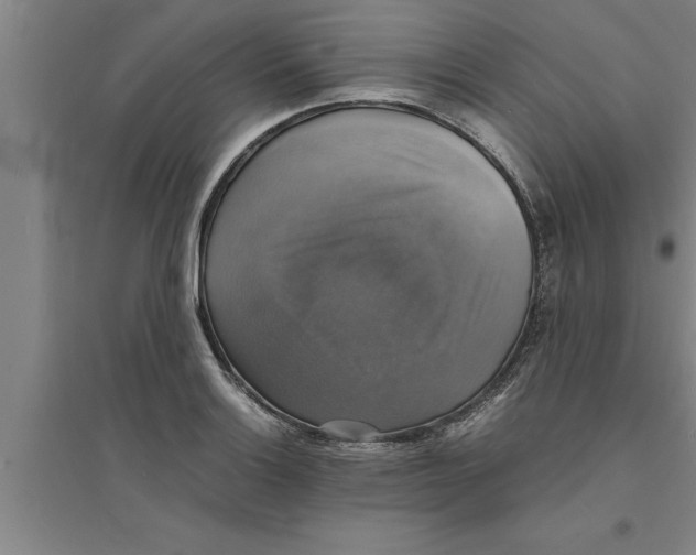 X0000094061132200711161518