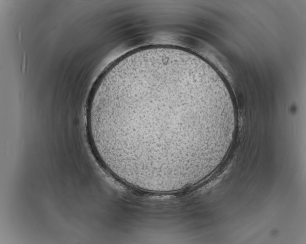 X0000094061133200711161518