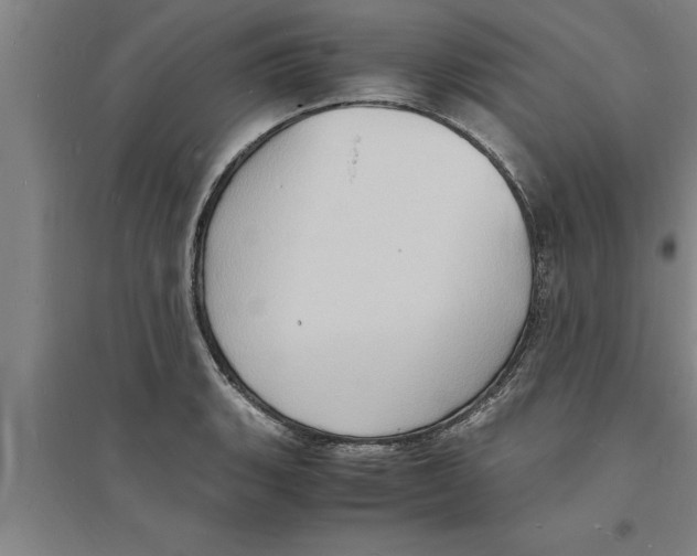 X0000094061135200711161518