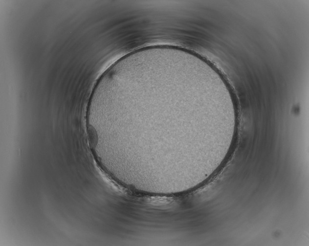 X0000094061137200711161518