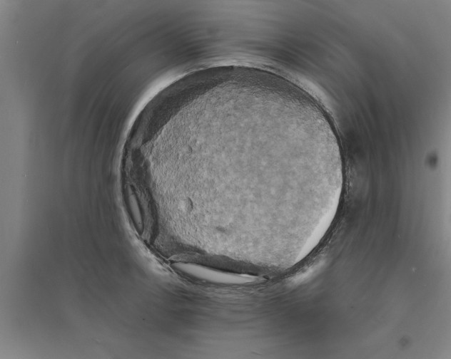 X0000094061138200711161518