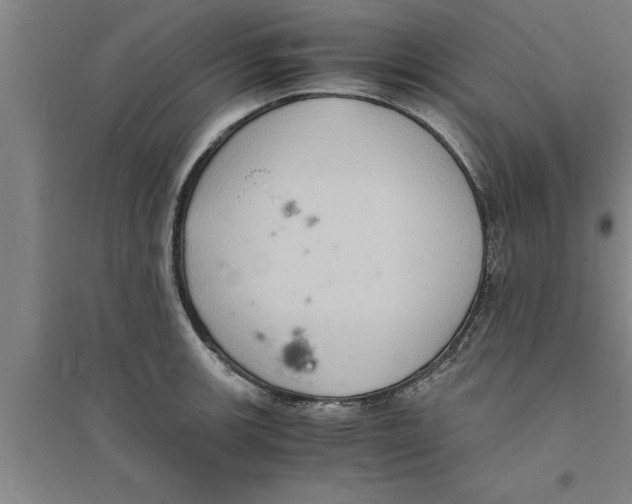 X0000094061139200711161518