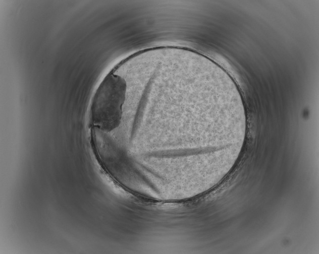 X0000094061140200711161518