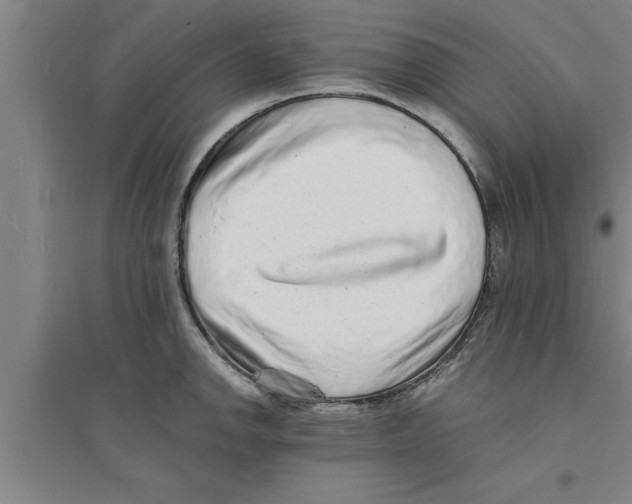 X0000094061142200711161518