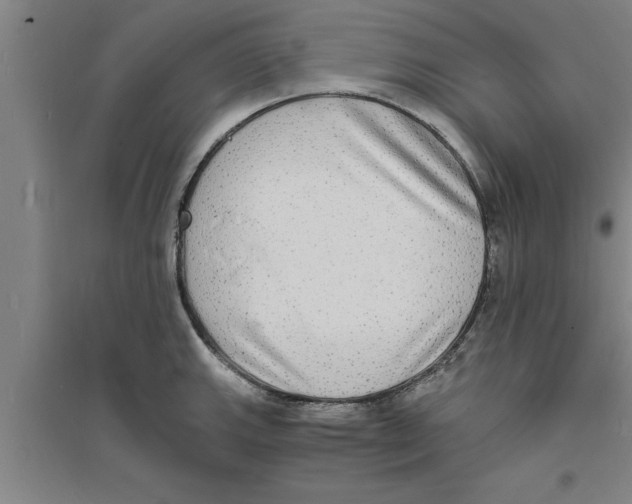 X0000094061143200711161518