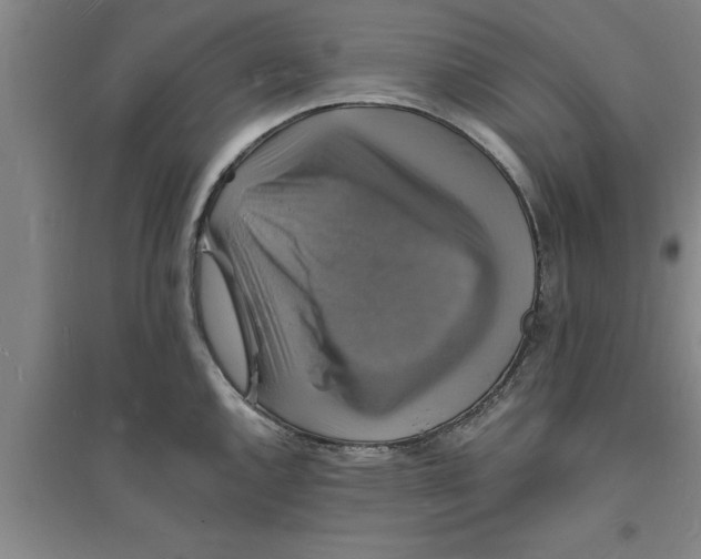 X0000094061144200711161519