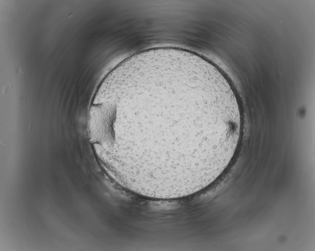 X0000094061145200711161519