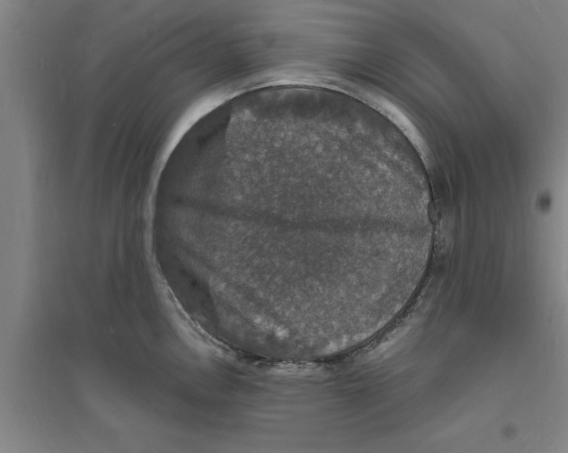 X0000094061146200711161519