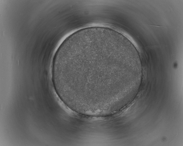 X0000094061148200711161519