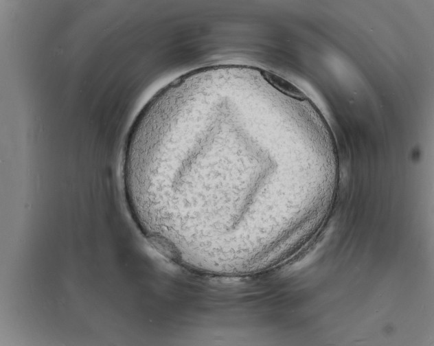 X0000094061149200711161519