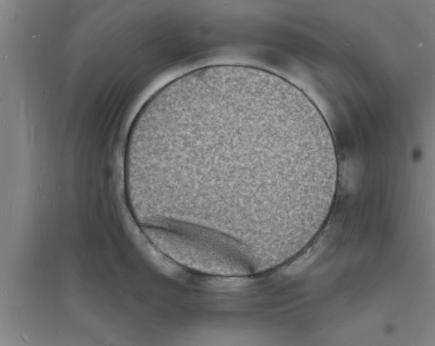 X0000094061150200711161519