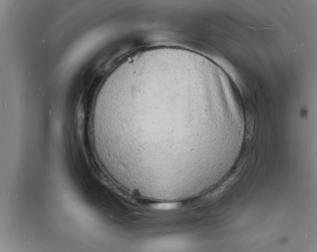 X0000094061151200711161519