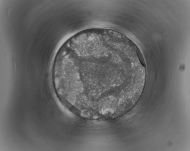 X0000094061152200711161519