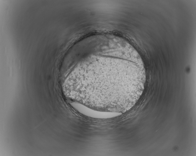 X0000094061153200711161518