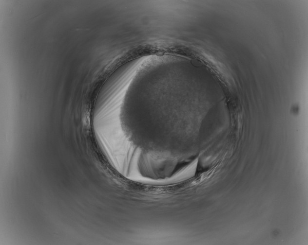 X0000094061155200711161518