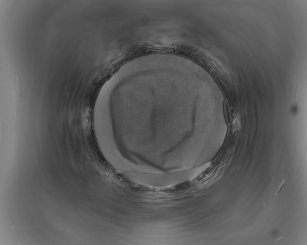 X0000094061156200711161518