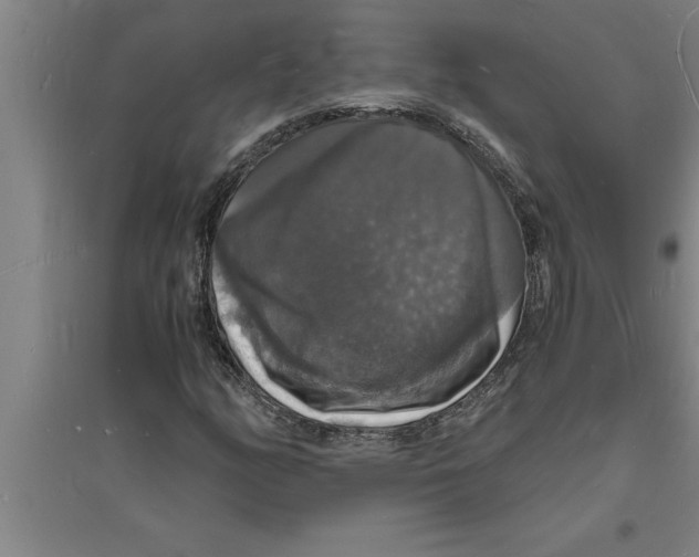 X0000094061158200711161518