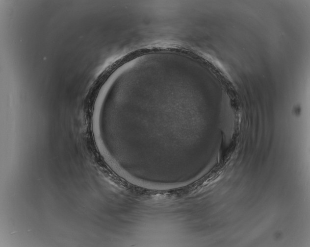 X0000094061160200711161518