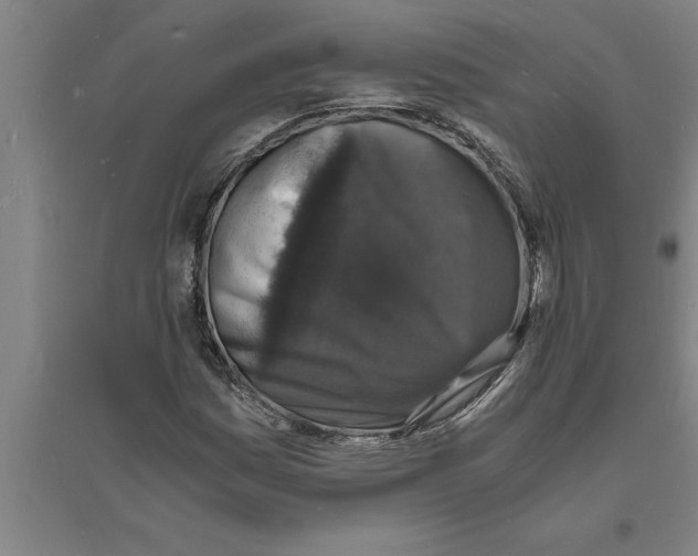 X0000094061161200711161518