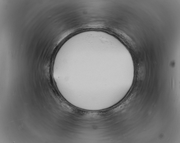 X0000094061162200711161518