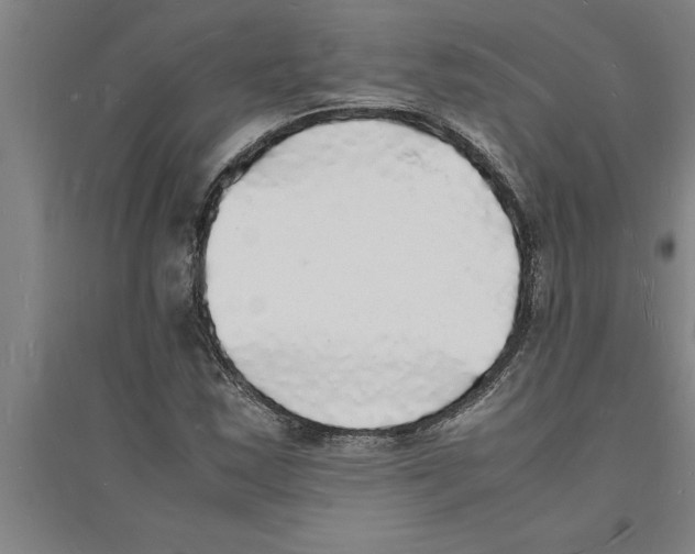 X0000094061163200711161518