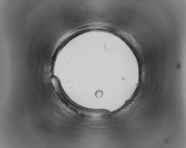 X0000094061164200711161518