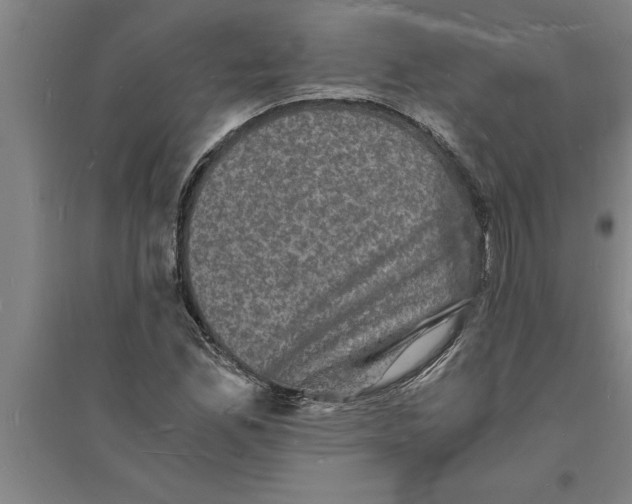 X0000094061165200711161518