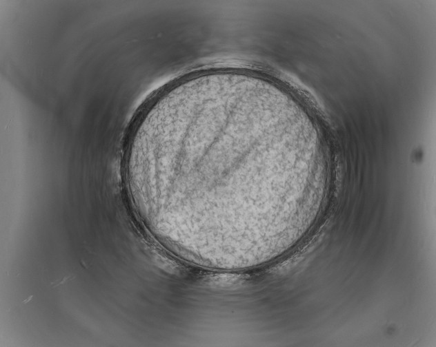 X0000094061166200711161518