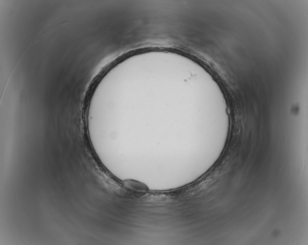 X0000094061168200711161518