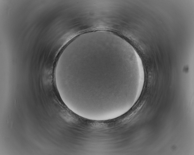 X0000094061170200711161518