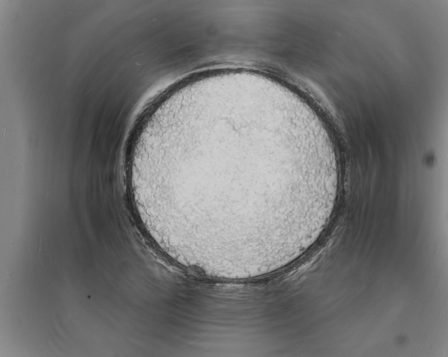 X0000094061172200711161518