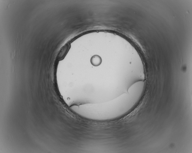 X0000094061173200711161518