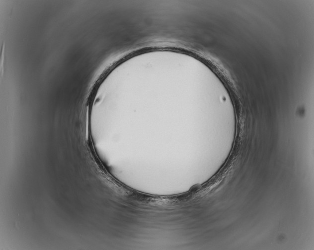 X0000094061175200711161518