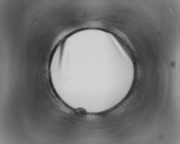 X0000094061176200711161518